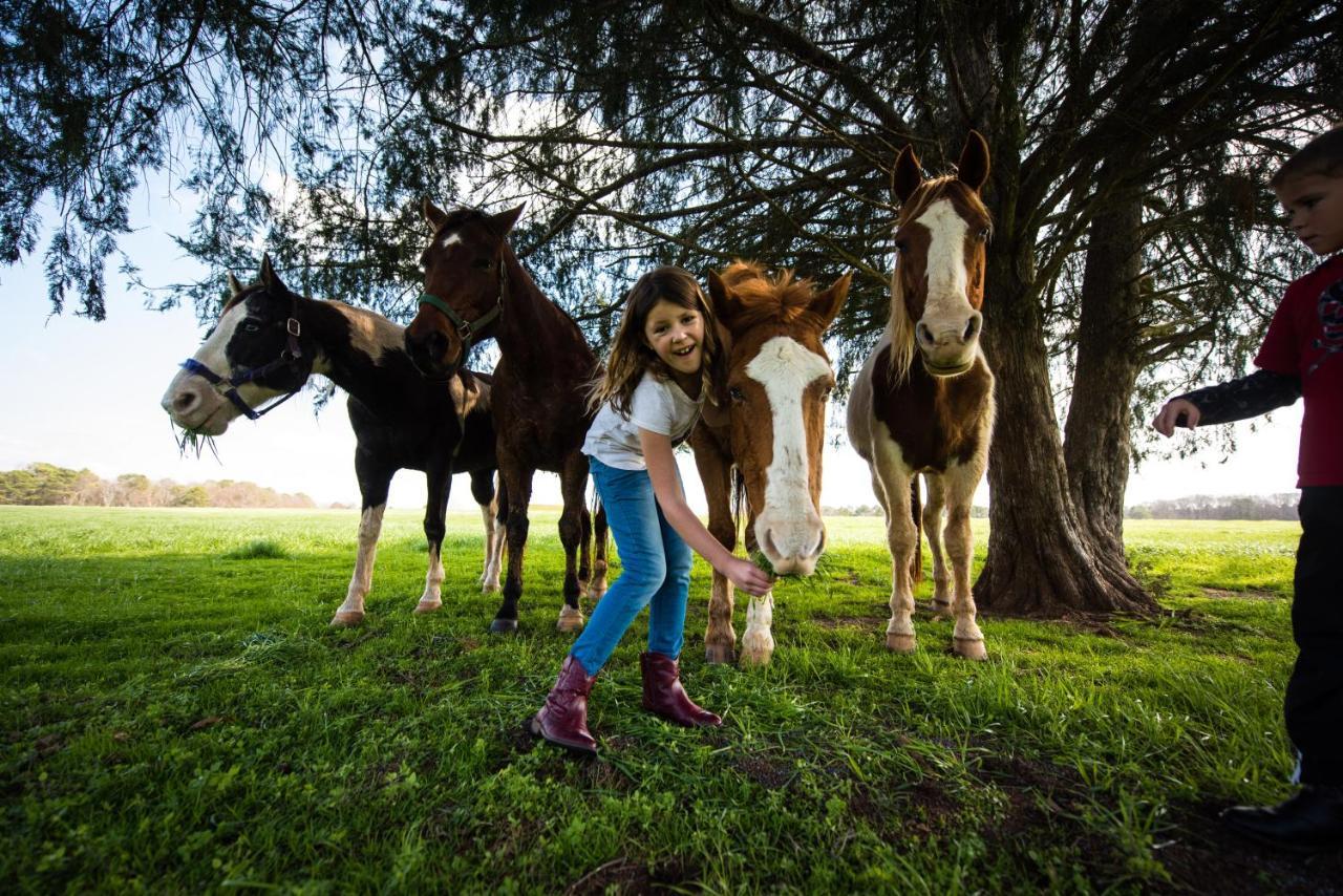 Southern Cross Guest Ranch Madison Eksteriør billede